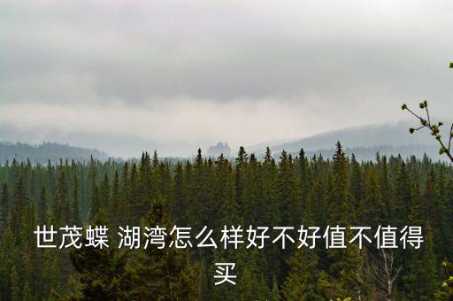 世茂蝶湖灣開(kāi)發(fā)建設(shè)有限公司