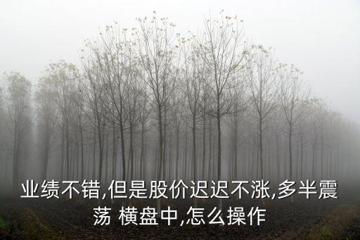 業(yè)績(jī)不錯(cuò),但是股價(jià)遲遲不漲,多半震蕩 橫盤中,怎么操作