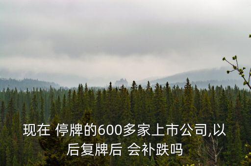 現(xiàn)在 停牌的600多家上市公司,以后復(fù)牌后 會補(bǔ)跌嗎