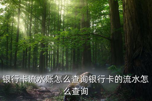 銀行卡流水賬怎么查詢銀行卡的流水怎么查詢