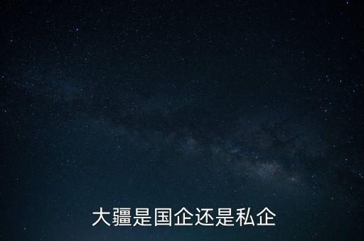  大疆是國企還是私企