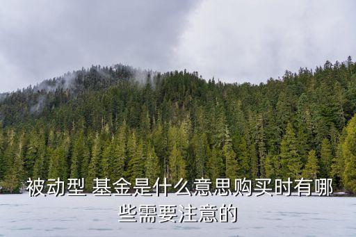  被動型 基金是什么意思購買時(shí)有哪些需要注意的