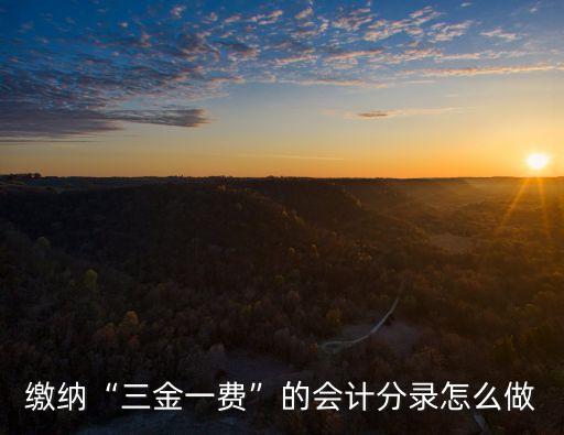 價(jià)格調(diào)節(jié)基金的計(jì)提基數(shù)包括營(yíng)業(yè)外收入