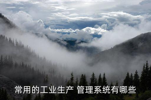 常用的工業(yè)生產(chǎn) 管理系統(tǒng)有哪些