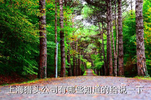 上海獵頭公司有哪些知道的給說(shuō)一下