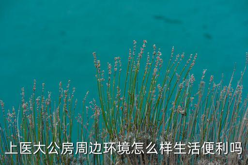 上醫(yī)大公房周邊環(huán)境怎么樣生活便利嗎