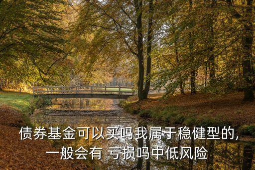 純債券基金會(huì)虧損嗎,最近為什么債券基金會(huì)虧損