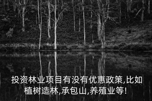 投資林業(yè)項目有沒有優(yōu)惠政策,比如植樹造林,承包山,養(yǎng)殖業(yè)等!