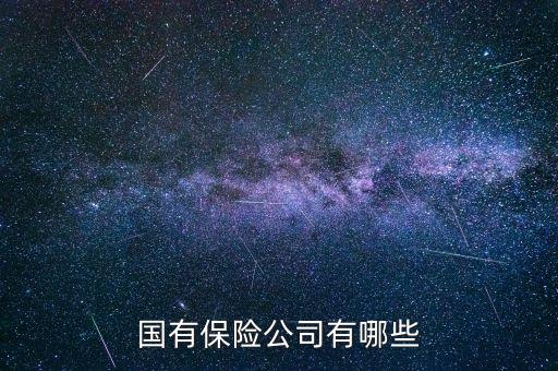 中信保商業(yè)險(xiǎn)投資險(xiǎn)