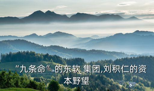“九條命”的東軟 集團(tuán),劉積仁的資本野望