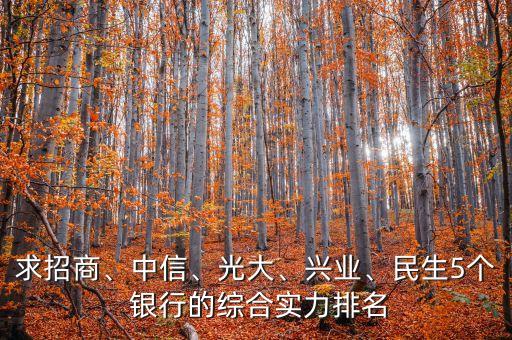 求招商、中信、光大、興業(yè)、民生5個 銀行的綜合實力排名