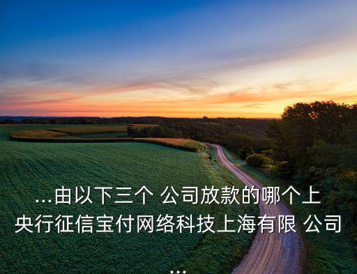 ...由以下三個(gè) 公司放款的哪個(gè)上央行征信寶付網(wǎng)絡(luò)科技上海有限 公司...