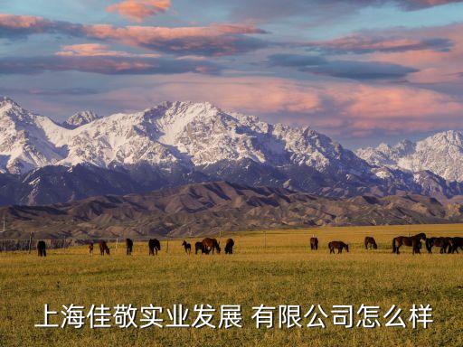  上海佳敬實(shí)業(yè)發(fā)展 有限公司怎么樣