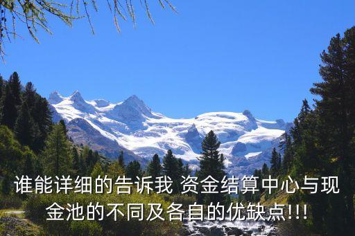 誰能詳細的告訴我 資金結算中心與現(xiàn)金池的不同及各自的優(yōu)缺點!!!
