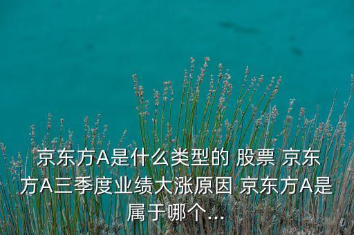 京東方a股票回購