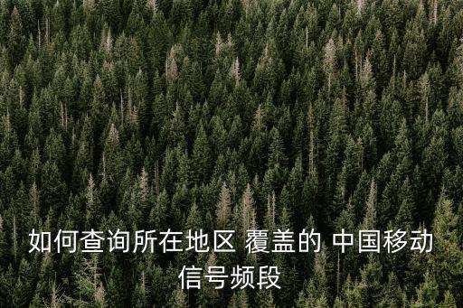 如何查詢所在地區(qū) 覆蓋的 中國移動信號頻段