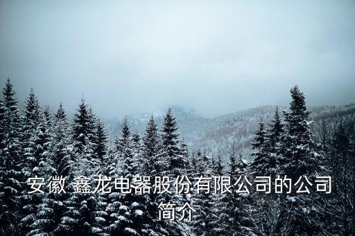 安徽鑫龍電氣在中國電氣排行榜