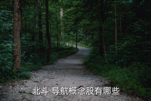  北斗 導航概念股有哪些
