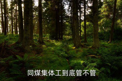  同煤集體工到底管不管