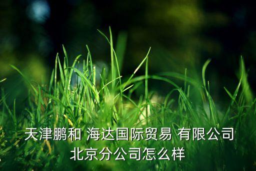  天津鵬和 海達(dá)國(guó)際貿(mào)易 有限公司北京分公司怎么樣