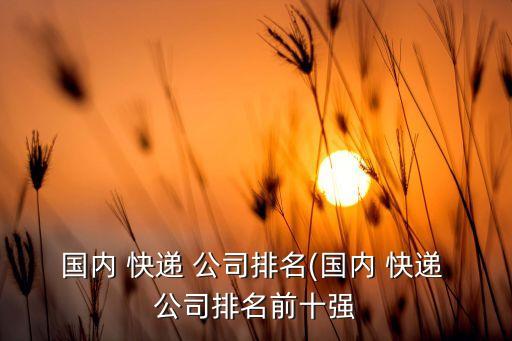 國內(nèi) 快遞 公司排名(國內(nèi) 快遞 公司排名前十強
