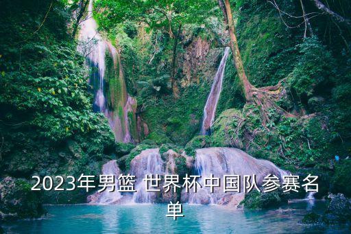 2023年男籃 世界杯中國(guó)隊(duì)參賽名單