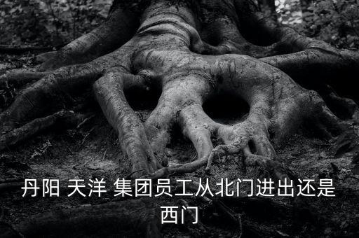 天洋集團怎么樣,王小舟天洋集團