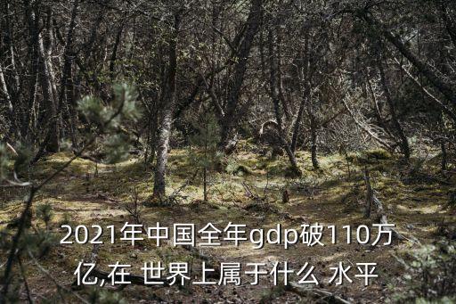 2021年中國(guó)全年gdp破110萬億,在 世界上屬于什么 水平