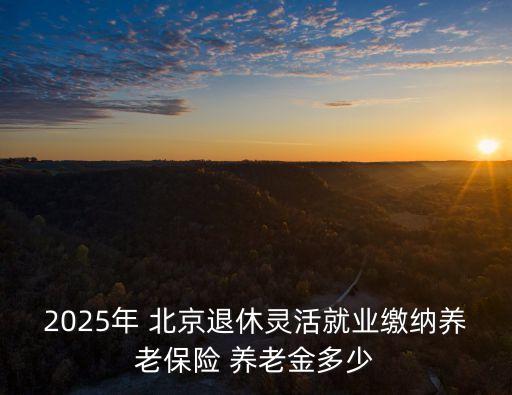2025年 北京退休靈活就業(yè)繳納養(yǎng)老保險 養(yǎng)老金多少
