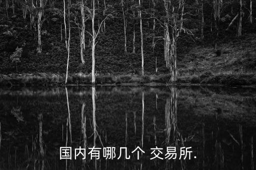 國內(nèi)有哪幾個(gè) 交易所.