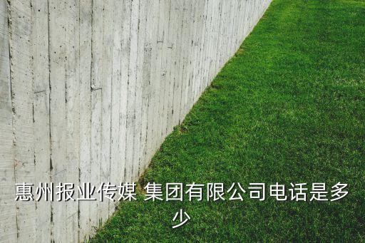 三新控股集團(tuán),廣州三新控股集團(tuán)