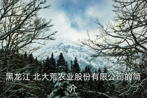 黑龍江 北大荒農(nóng)業(yè)股份有限公司的簡介