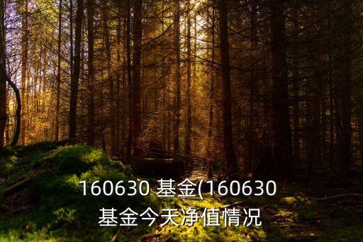 國(guó)企改革指數(shù)基金,富國(guó)國(guó)企改革指數(shù)基金凈值