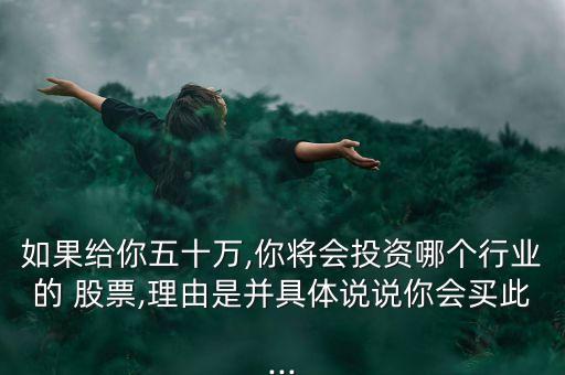 如果給你五十萬(wàn),你將會(huì)投資哪個(gè)行業(yè)的 股票,理由是并具體說(shuō)說(shuō)你會(huì)買此...