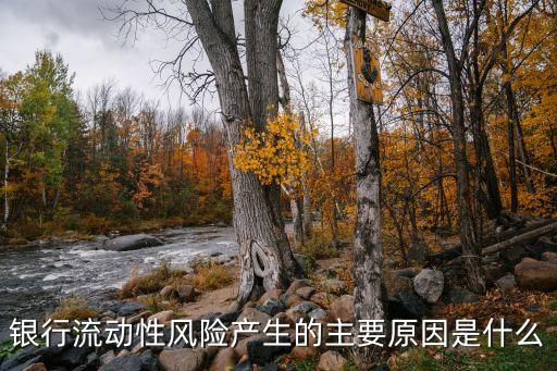銀行流動性風(fēng)險產(chǎn)生的主要原因是什么