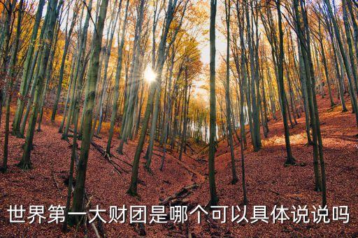 世界第一大財(cái)團(tuán)是哪個(gè)可以具體說說嗎