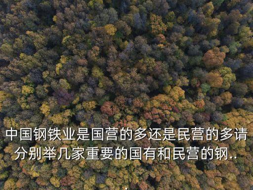 中國(guó)鋼鐵業(yè)是國(guó)營(yíng)的多還是民營(yíng)的多請(qǐng)分別舉幾家重要的國(guó)有和民營(yíng)的鋼...