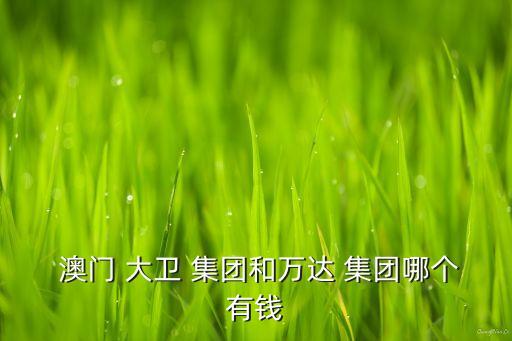  澳門 大衛(wèi) 集團(tuán)和萬達(dá) 集團(tuán)哪個有錢