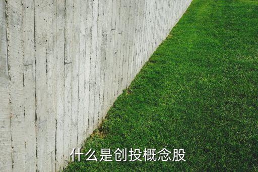浙江天堂硅谷投資新興板