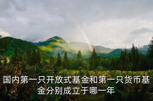 國內第一只開放式基金和第一只貨幣基金分別成立于哪一年