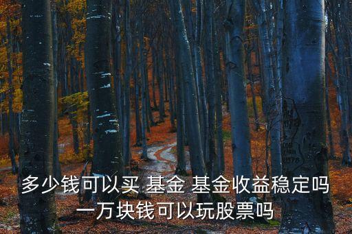 多少錢可以買 基金 基金收益穩(wěn)定嗎一萬(wàn)塊錢可以玩股票嗎