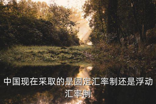 中國實(shí)行什么貨幣制度,什么是整個(gè)貨幣制度的基礎(chǔ)