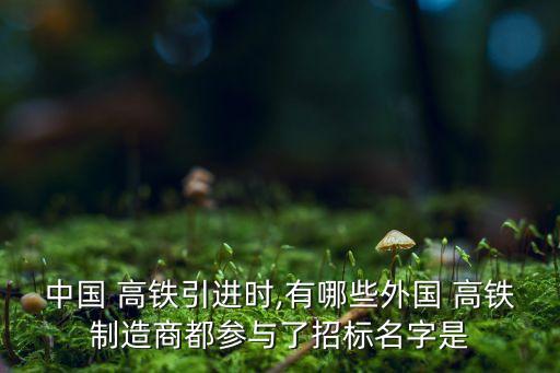 中國 高鐵引進時,有哪些外國 高鐵制造商都參與了招標名字是