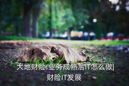 中國(guó)大地財(cái)產(chǎn)保險(xiǎn)宣傳彩頁