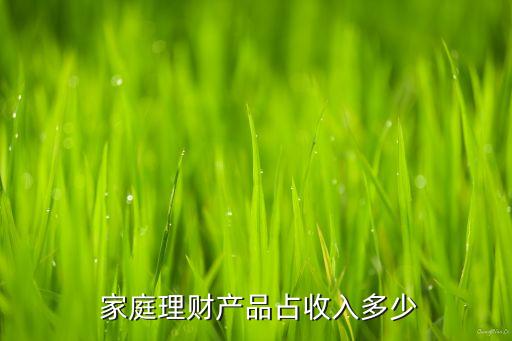  家庭理財產(chǎn)品占收入多少