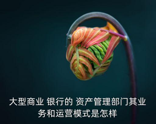 大型商業(yè) 銀行的 資產(chǎn)管理部門其業(yè)務(wù)和運(yùn)營模式是怎樣