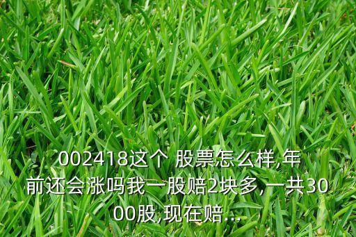  002418這個(gè) 股票怎么樣,年前還會(huì)漲嗎我一股賠2塊多,一共3000股,現(xiàn)在賠...