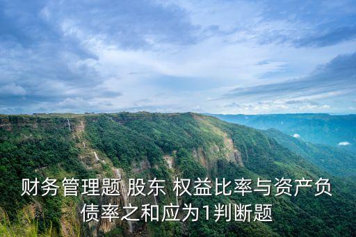 財務(wù)管理題 股東 權(quán)益比率與資產(chǎn)負債率之和應(yīng)為1判斷題