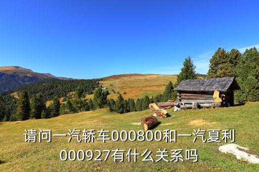 請問一汽轎車000800和一汽夏利000927有什么關系嗎