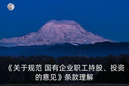 《關(guān)于規(guī)范 國有企業(yè)職工持股、投資的意見》條款理解